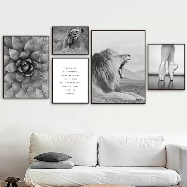black white cactus flower lion ballet girl wall art canvas painting nordic posters and prints wall picture for living room decor
black white cactus flower lion ballet girl wall art canvas painting nordic posters and prints wall picture for living room decor