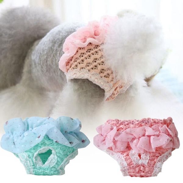 1pc pet dog physiology hygienic pants dog shorts cat underwear puppy cute diaper lace edge pet trousers
1pc pet dog physiology hygienic pants dog shorts cat underwear puppy cute diaper lace edge pet trousers