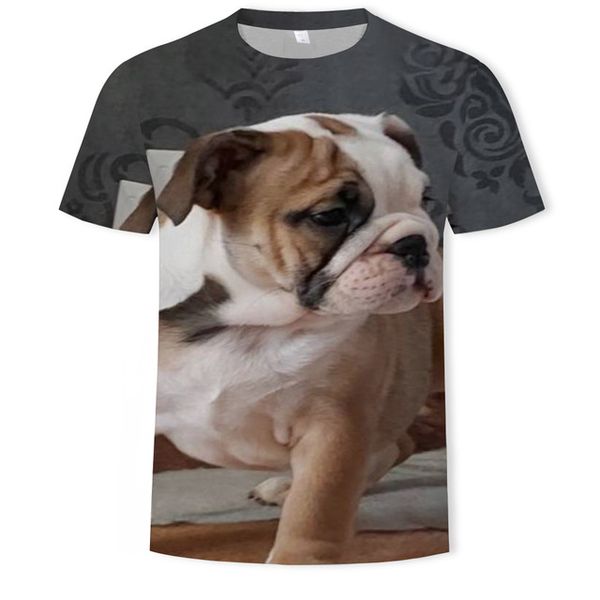 animal dog pet o-collar summer 110-6xl 3d print shirts horror kawaii aesthetic men clothing
animal dog pet o-collar summer 110-6xl 3d print shirts horror kawaii aesthetic men clothing