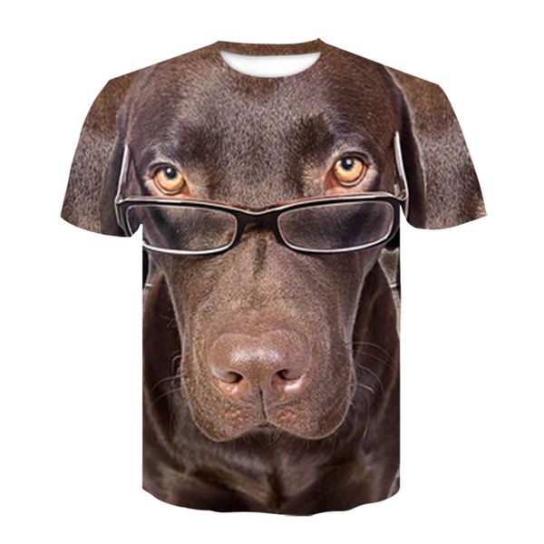 crazy tv show stranger things t shirt men hawkins demodog mens t-shirt stranger demogorgon tee shirt baseballer sweatshirt homme
crazy tv show stranger things t shirt men hawkins demodog mens t-shirt stranger demogorgon tee shirt baseballer sweatshirt homme