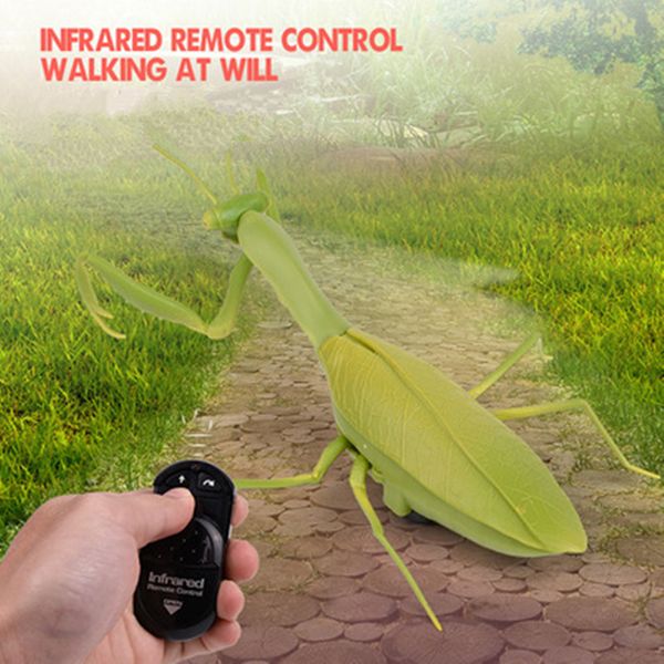 infrared remote control realistic mini mantis rc insect scary trick toy simulation animal funny prank kids children toy gift y200317
infrared remote control realistic mini mantis rc insect scary trick toy simulation animal funny prank kids children toy gift y200317