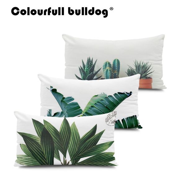 green cactus pillow cases flamingo monstera cushion cases succulents tropcial throw pillows 30*50cm lumbar pillow covers decor
green cactus pillow cases flamingo monstera cushion cases succulents tropcial throw pillows 30*50cm lumbar pillow covers decor