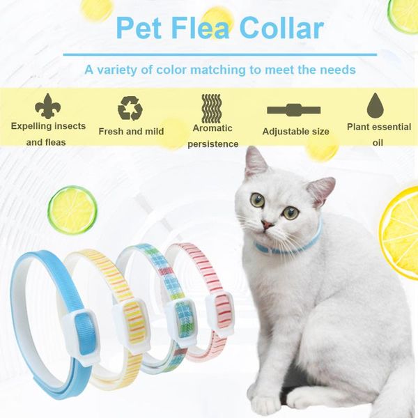 s/m washable pet dog cat flea killer collar removes flea pet cat collar anti-insect protect necklace for small dog
s/m washable pet dog cat flea killer collar removes flea pet cat collar anti-insect protect necklace for small dog
