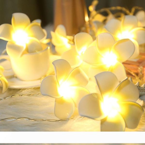 artificial plumeria flower led string lights bedroom home decor battery operated hawaii flowers lights for wedding party
artificial plumeria flower led string lights bedroom home decor battery operated hawaii flowers lights for wedding party