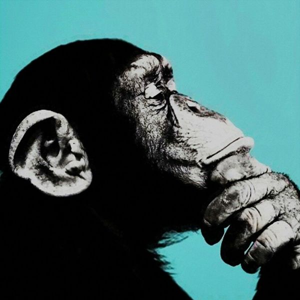 andy warhol pop art wall decor thinking monkey home decor handcrafts /hd print oil painting on canvas wall art canvas picture 200822
andy warhol pop art wall decor thinking monkey home decor handcrafts /hd print oil painting on canvas wall art canvas picture 200822