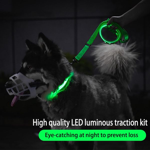 dog collars & leashes led leash night safety flashing glow for dogs 130cm pet supplies cat drawing small big running
dog collars & leashes led leash night safety flashing glow for dogs 130cm pet supplies cat drawing small big running
