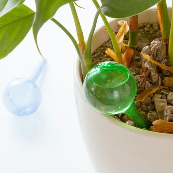 round ball imitation glass bulb spherical flower automatic automatic lazy waterer indoor plant garden waterer travel dripper
round ball imitation glass bulb spherical flower automatic automatic lazy waterer indoor plant garden waterer travel dripper