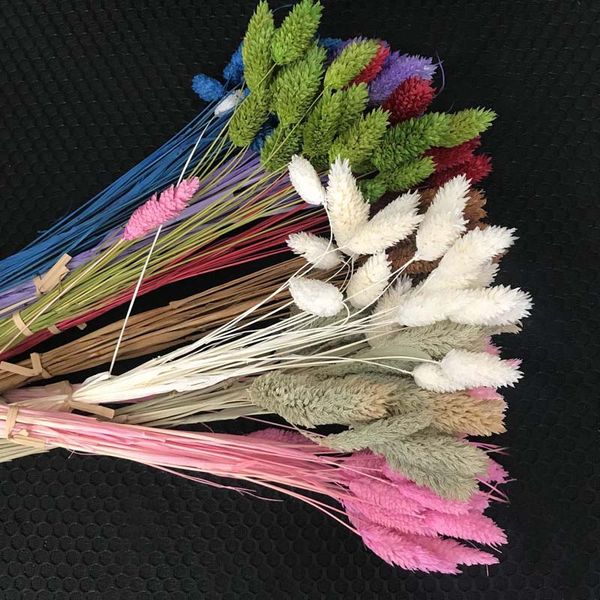 decorative flowers & wreaths 80pcs/40cm,real natural dried plants jewelweed bouquet,droogbloemen gem grass dry flower for home decor,wedding
decorative flowers & wreaths 80pcs/40cm,real natural dried plants jewelweed bouquet,droogbloemen gem grass dry flower for home decor,wedding