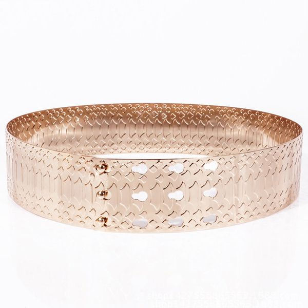 three dimensional scale decoration metal belt women's gold dress waist seal dress belt, Black;brown
three dimensional scale decoration metal belt women's gold dress waist seal dress belt, Black;brown