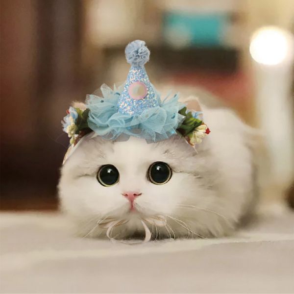 1pc cute lace ring bell magic cap princess crown dog cat pet hair clip wedding birthday party cosplay decor pet supplies gift
1pc cute lace ring bell magic cap princess crown dog cat pet hair clip wedding birthday party cosplay decor pet supplies gift