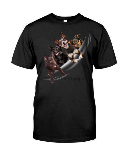men t shirt australian kelpie - torn 4(10) women tshirts