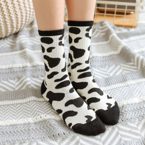 autumn cotton stockings stockings and winter new black and white series zebra pattern women's mid-length street all-match cotton socks
autumn cotton stockings stockings and winter new black and white series zebra pattern women's mid-length street all-match cotton socks