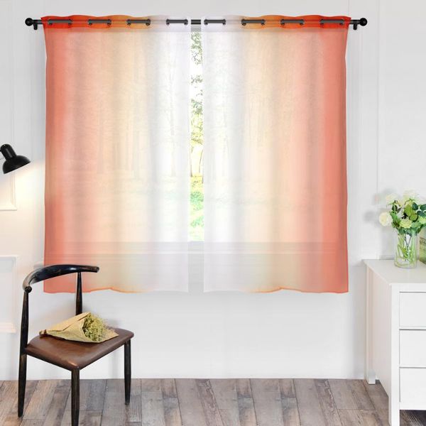 2pcs gradient color window curtain for living room bedroom kitchen blackout screening breathable bedroom study home decor
2pcs gradient color window curtain for living room bedroom kitchen blackout screening breathable bedroom study home decor