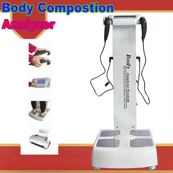 factory price professional body fat analyzer/body composition analyzer/body element analyzer ce/dhl ing
factory price professional body fat analyzer/body composition analyzer/body element analyzer ce/dhl ing