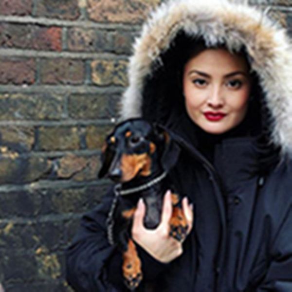 женщин пальто зимы вниз parka mysique моды с капюшоном ветровки женщины одежда теплое для дам открытый пальто плюс размер hj2, Black
женщин пальто зимы вниз parka mysique моды с капюшоном ветровки женщины одежда теплое для дам открытый пальто плюс размер hj2, Black