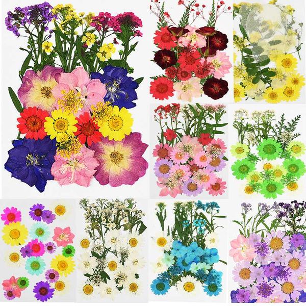pressed flowers small dried flowers preserved chrysanthemum daisy petal diy candle crafts home decor mini bloemen flores secas
pressed flowers small dried flowers preserved chrysanthemum daisy petal diy candle crafts home decor mini bloemen flores secas