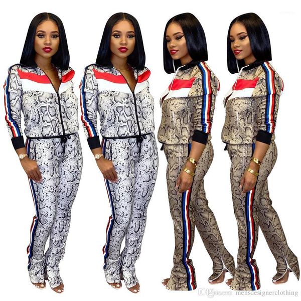 2 piece pants snake printed autumn casual slim long sleeved stand collar sports suits fashion women tracksuits womens designer tracksuits, Gray
2 piece pants snake printed autumn casual slim long sleeved stand collar sports suits fashion women tracksuits womens designer tracksuits, Gray