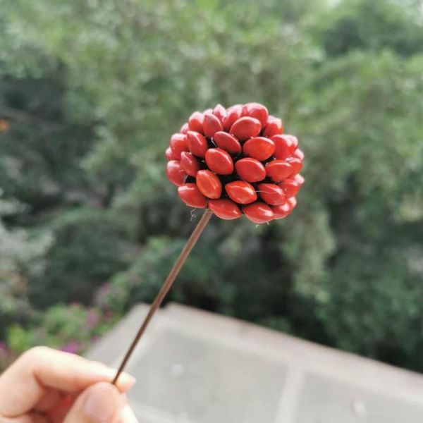 1pcs/4cm head,craft acacia red bean display flower with wire branch,natural real dried bean wedding home decoration accessories
1pcs/4cm head,craft acacia red bean display flower with wire branch,natural real dried bean wedding home decoration accessories