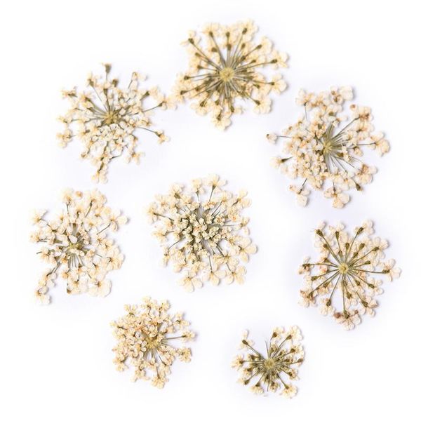rolabling star cluster dried flowers manicure stickers diy preserved real flower nail art decorations manicure nails accessories2422424, Silver;gold
rolabling star cluster dried flowers manicure stickers diy preserved real flower nail art decorations manicure nails accessories2422424, Silver;gold