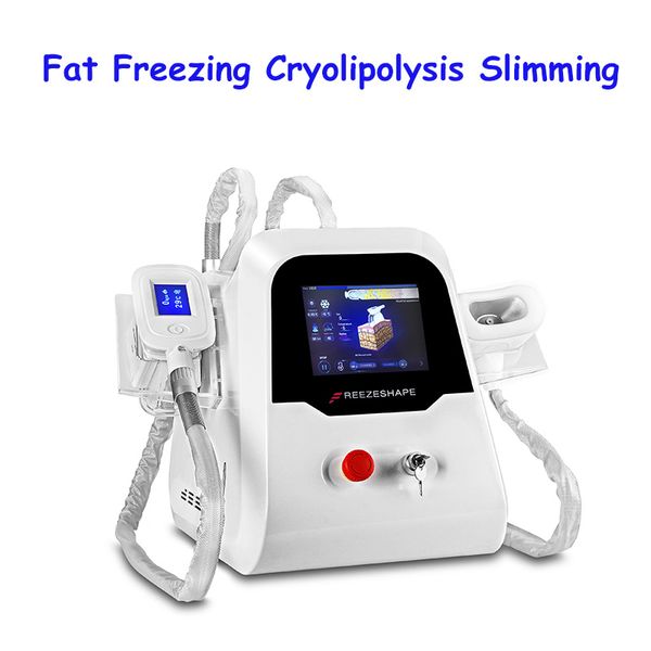 double cryolipolysis fat e cryolipolyse spa use body and chin shaping machine criolipolisis for fat reduction
double cryolipolysis fat e cryolipolyse spa use body and chin shaping machine criolipolisis for fat reduction
