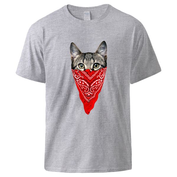 забавный кот печать tshirts прохладное лето с коротким рукавом спортивная tshirts 2020 человек способа высокого качества cat печати топы муж
забавный кот печать tshirts прохладное лето с коротким рукавом спортивная tshirts 2020 человек способа высокого качества cat печати топы муж