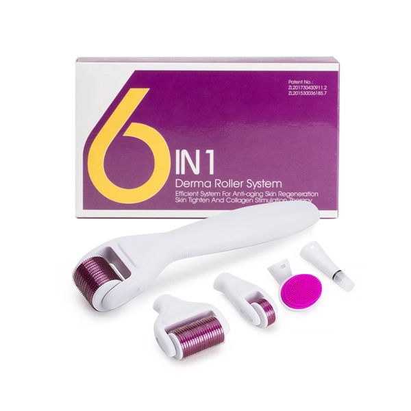 6 in 1 derma roller set microneedle roller kit for skin care scar removal anti-aging with stainlees steel body face eyes 20pcs/lot
6 in 1 derma roller set microneedle roller kit for skin care scar removal anti-aging with stainlees steel body face eyes 20pcs/lot