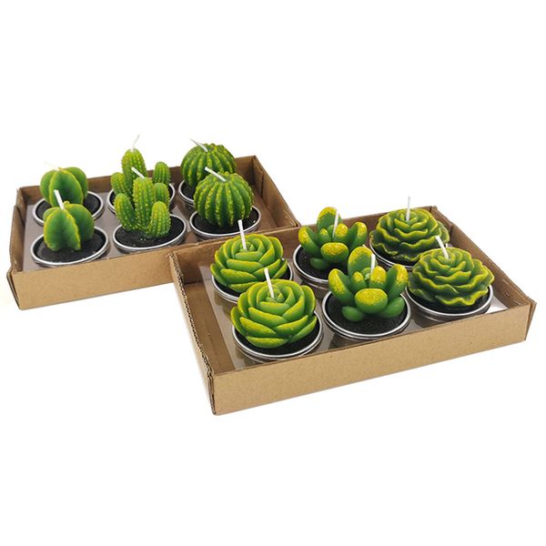 12pcs/set cactus tealight candles home decor party favors unscented plants pot
