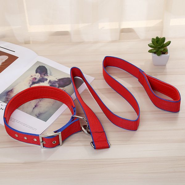 big small and medium-sized dog supplies foam collar dog leash chain manufacturer wholesale
big small and medium-sized dog supplies foam collar dog leash chain manufacturer wholesale