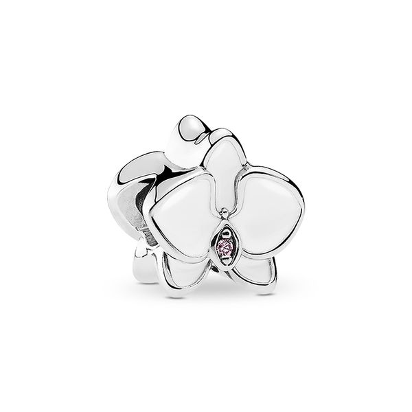 authentic 925 sterling silver white orchid flower charms beads with enamel and soft pink stones fit pandora bracelets for diy jewelry making, Black
authentic 925 sterling silver white orchid flower charms beads with enamel and soft pink stones fit pandora bracelets for diy jewelry making, Black