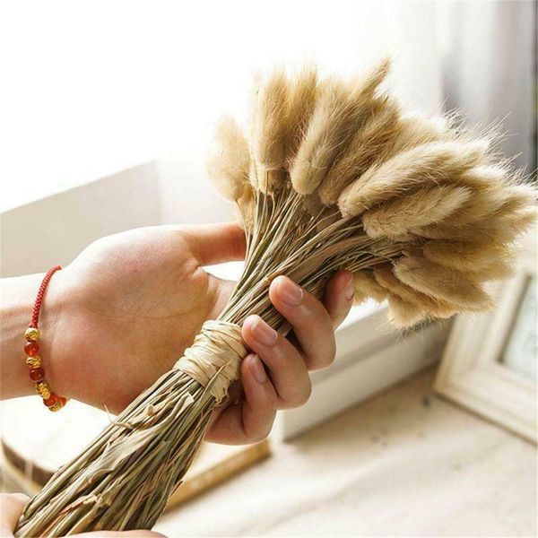 20 pcs/lot naturals dried pampas grass reed 40-45cm home wedding flower bunch bunny tail decor bouquet home decoration
20 pcs/lot naturals dried pampas grass reed 40-45cm home wedding flower bunch bunny tail decor bouquet home decoration