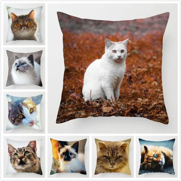 fuwatacchi cute cat pillow cases canadian hairless cushion cover pillow cover for sofa home chair decoratives throw pillowcases
fuwatacchi cute cat pillow cases canadian hairless cushion cover pillow cover for sofa home chair decoratives throw pillowcases