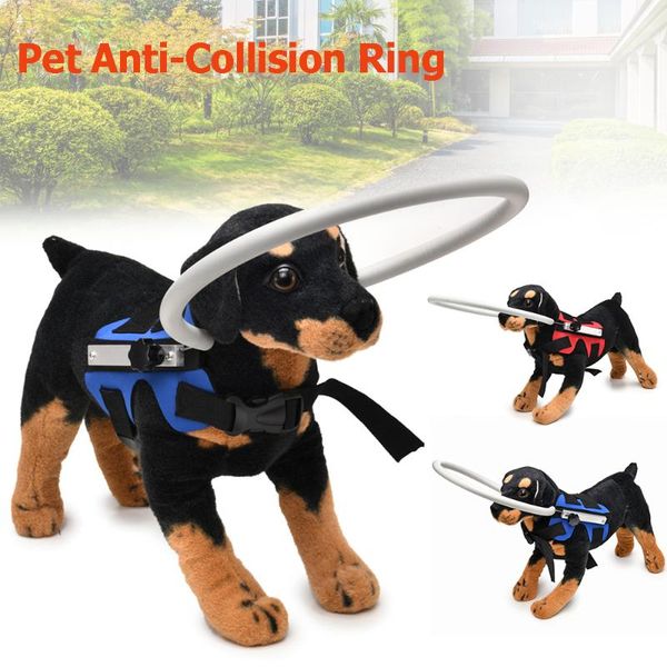 blind pet anti-collision collar dog guide training behavior aids for small big dogs prevent collision protection collars supplie
blind pet anti-collision collar dog guide training behavior aids for small big dogs prevent collision protection collars supplie