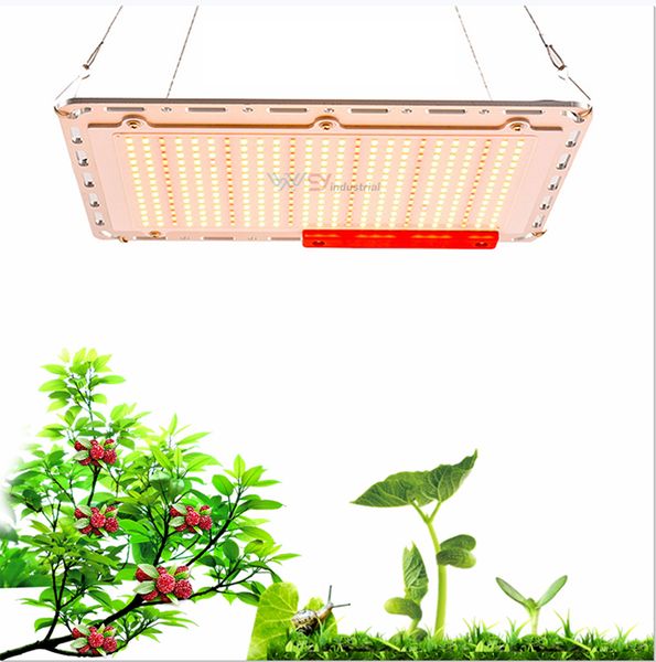 2020 new design wy price full spectrum lm301b/501c sumsung chip 120w 240w led grow light hydroponic led growth light kits
2020 new design wy price full spectrum lm301b/501c sumsung chip 120w 240w led grow light hydroponic led growth light kits