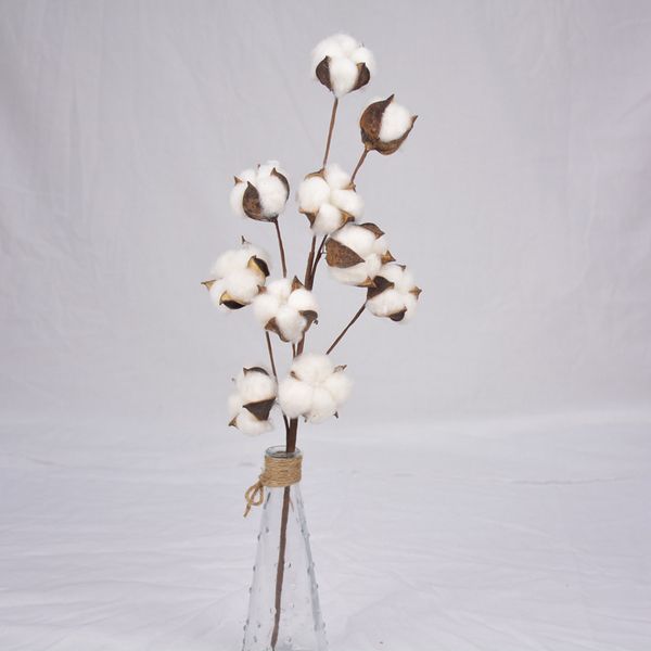 eternal life naturally dried cotton flowers gift artificial plants floral branch for wedding xmas party decoration & home decor
eternal life naturally dried cotton flowers gift artificial plants floral branch for wedding xmas party decoration & home decor