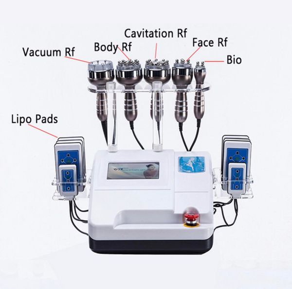 7in1 bio lipo pads vacuum cavitation frequency lipo slimming machine vacuum rf skin tighten loss weight machine beauty equipment
7in1 bio lipo pads vacuum cavitation frequency lipo slimming machine vacuum rf skin tighten loss weight machine beauty equipment