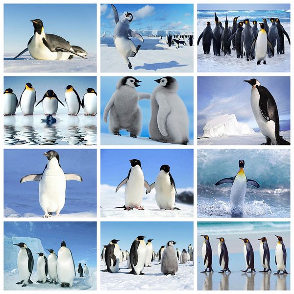 wall art 5d diy diamond embroidery sale animals diamond painting penguin cross stitch kit mosaic full layout home decoration
wall art 5d diy diamond embroidery sale animals diamond painting penguin cross stitch kit mosaic full layout home decoration