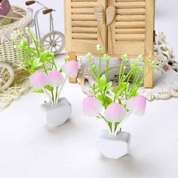 novelty mushroom fungus night light eu & us plug light sensor colorful mushroom lamp led night lights 
novelty mushroom fungus night light eu & us plug light sensor colorful mushroom lamp led night lights