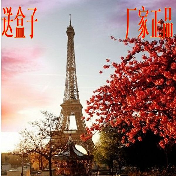 gift box authentic french tour souvenir eiffel tower model ornaments for you love him more sizes
gift box authentic french tour souvenir eiffel tower model ornaments for you love him more sizes