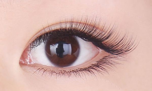 5cases/lot false eyelashes synthetic hair soft natural thick style individual eyelash-extension faux mink lashes wholesale, Black;brown
5cases/lot false eyelashes synthetic hair soft natural thick style individual eyelash-extension faux mink lashes wholesale, Black;brown