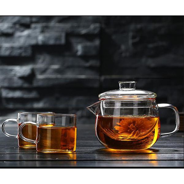 glass teapot kettle with infuser, microwavable and stovesafe tea maker