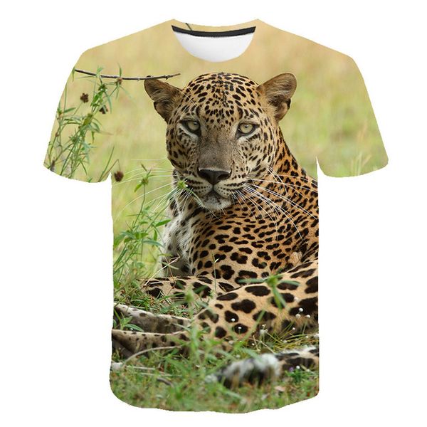 3d animal 3d tiger king print designed stylish colorful summer o collar 3d print shirts aesthetic hippie humor men clothing
3d animal 3d tiger king print designed stylish colorful summer o collar 3d print shirts aesthetic hippie humor men clothing