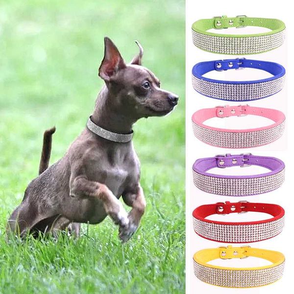 dog with xxs xs s m fancy dog collar small cat necklace bling crystal collars
dog with xxs xs s m fancy dog collar small cat necklace bling crystal collars