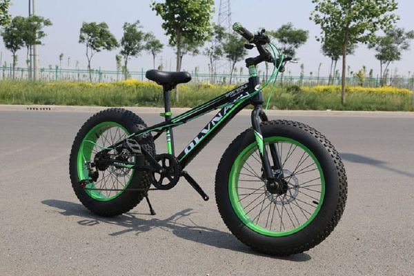 4.0 large coarse tire snowmobile beach variable speed double disc brake bike
4.0 large coarse tire snowmobile beach variable speed double disc brake bike