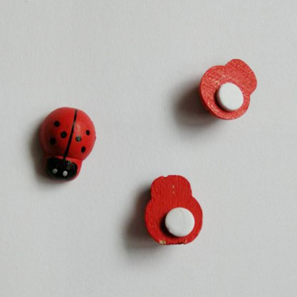 100pcs micro landscape decor wall sticker succulents wooden ladybug 3d animals
100pcs micro landscape decor wall sticker succulents wooden ladybug 3d animals