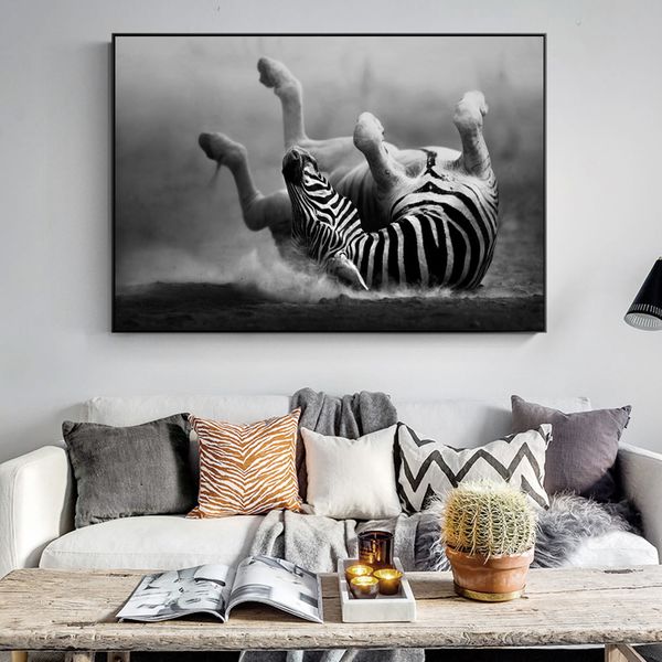 canvas painting wall posters prints modern zebra rolling in the dust wall art pictures for living children room decoration dining home decor
canvas painting wall posters prints modern zebra rolling in the dust wall art pictures for living children room decoration dining home decor