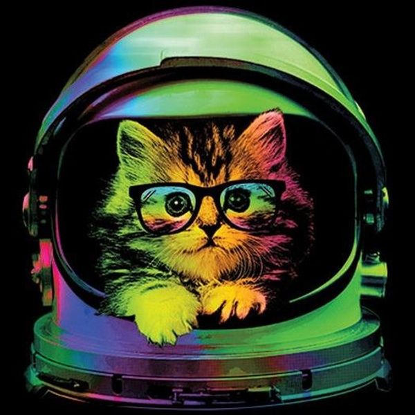 fashion men t shirt space kitten t shirt you choose style, size, color tshirt homme
fashion men t shirt space kitten t shirt you choose style, size, color tshirt homme