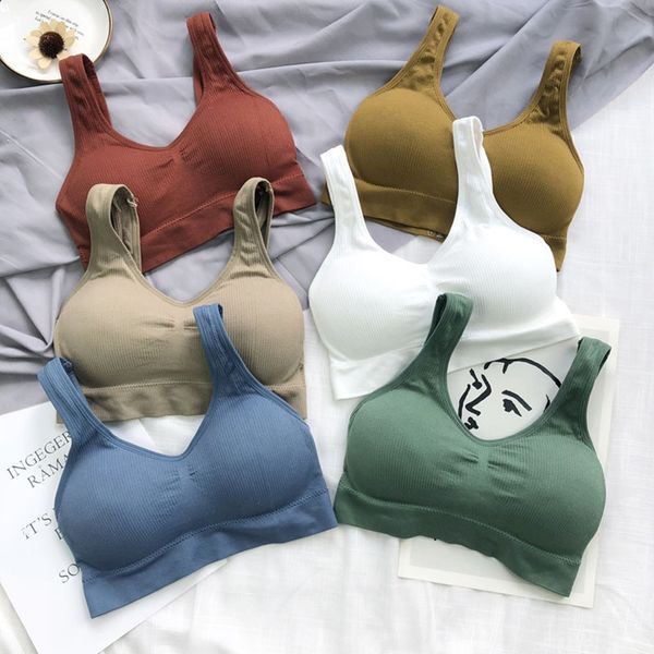 women underwear sport bra gym yoga seamless fitness running wear for haut jogging brassiere femme padding bralette sujetador, White;black
women underwear sport bra gym yoga seamless fitness running wear for haut jogging brassiere femme padding bralette sujetador, White;black