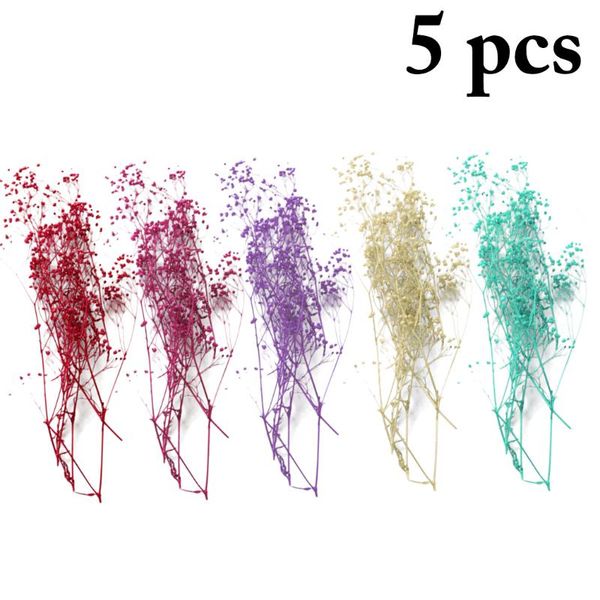 5 packs dried flowers diy preserved flowers pressed starry lover grass dried eternal wreath decorative material
5 packs dried flowers diy preserved flowers pressed starry lover grass dried eternal wreath decorative material