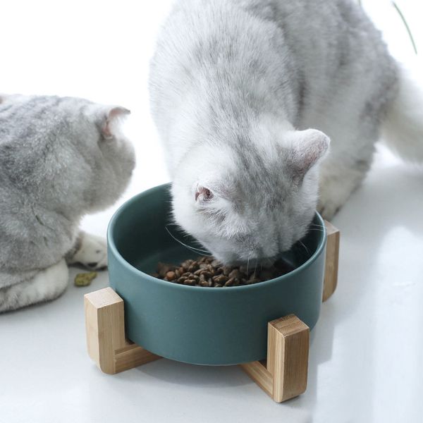 cat bowls & feeders 850ml bowl ceramic dog water feeder pet with stand wood supplies
