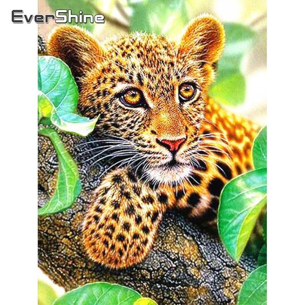 wall art diamond mosaic sale animals 5d diamond painting full square leopard pictures with rhinestones diamond art needlework
wall art diamond mosaic sale animals 5d diamond painting full square leopard pictures with rhinestones diamond art needlework